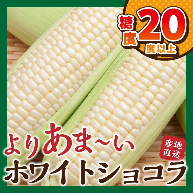 【ふるさと納税】 【2026年先行予約】 とうもろこし コーン 朝採り 人気 トウモロコシ ホワイトショコラ 約2.5kg 約5kg とうきび 野菜 お取り寄せ 産地直送 農家直送 直送 新鮮 ギフト プレゼント 贈り物 贈答 自宅用 食用 送料無料 ※沖縄県、離島不可 山梨県 忍野村 - 画像2