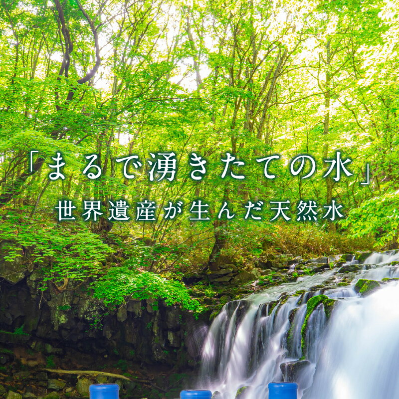 【ふるさと納税】 ウォーターサーバー 天然水 定期便 8L×3本 12ヶ月 家電 富士忍野 便利 飲料水 ミネラルウォーター 防災 備蓄 電化製品 家電製品 レンタル 送料無料 山梨県 忍野村 ※沖縄県・離島不可 サムネイル2