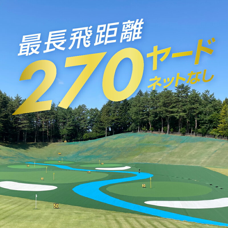 【ふるさと納税】 ゴルフ 練習場 練習球券 引換券 打ち放題 打ちっぱなし トレーニング 練習 ゴルフボール ゴルフクラブ 送料無料 山梨県 忍野村 サムネイル3