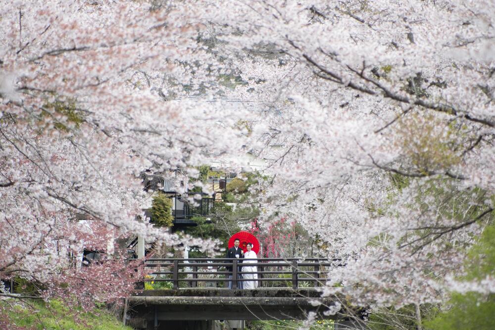 【ふるさと納税】 ロケーションフォト 和装 洋装 記念写真 家族写真 記念日 プレゼント 富士山 衣裳 結婚 還暦 お祝い 入学 卒業 ヘアメイク 着付け 送料無料 山梨県 忍野村 - 画像2
