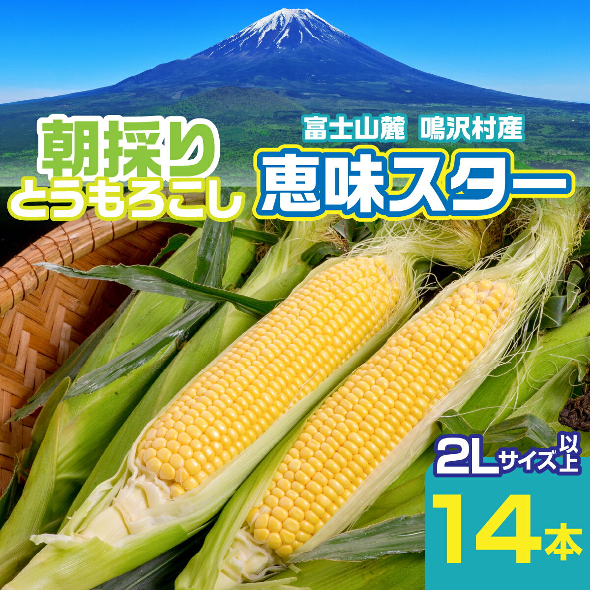 【2026年8月～発送】富士山麓 鳴沢村産 朝採り とうもろこし【恵味スタ－】5kg ふるさと納税 とうもろこし トウモロコシ コーン 野菜 山梨県 鳴沢村 送料無料 NSH004