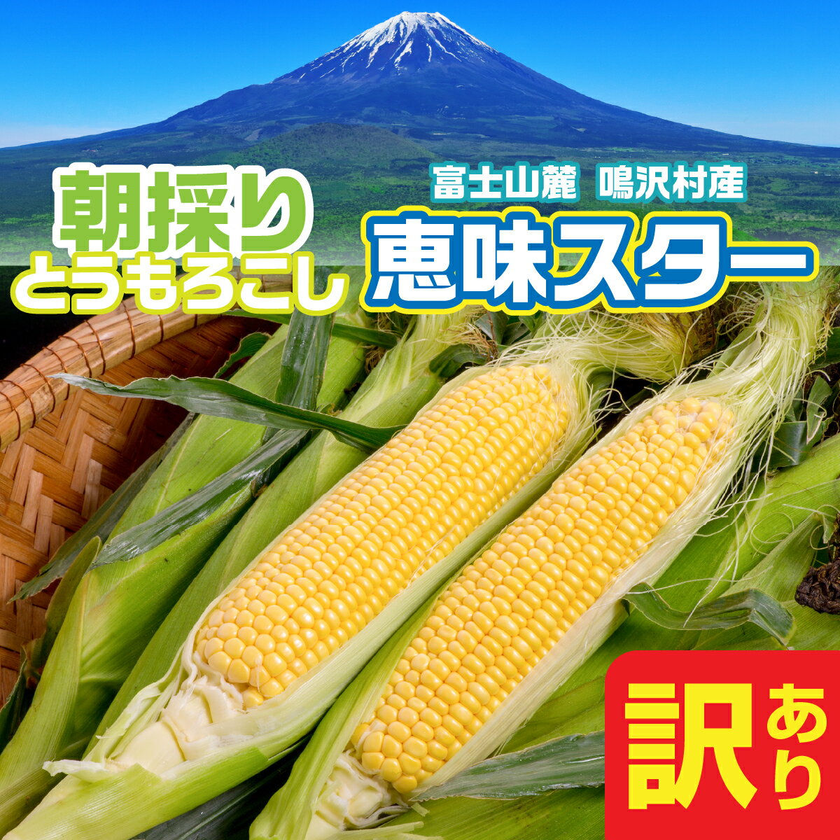 【2026年7月下旬発送】鳴沢村産　とうもろこし　恵味スタ－　【訳あり品】 ふるさと納税 山梨県 鳴沢村 送料無料 NSH005