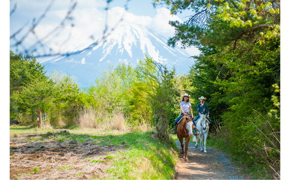 【ふるさと納税】 【乗馬体験チケット】カントリーセットふるさと納税 乗馬 馬 体験チケット 山梨県 鳴沢村 送料無料 NSA001 - 画像2