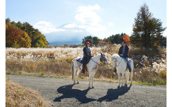 【ふるさと納税】 【乗馬体験チケット】カントリーセットふるさと納税 乗馬 馬 体験チケット 山梨県 鳴沢村 送料無料 NSA001 - 画像3