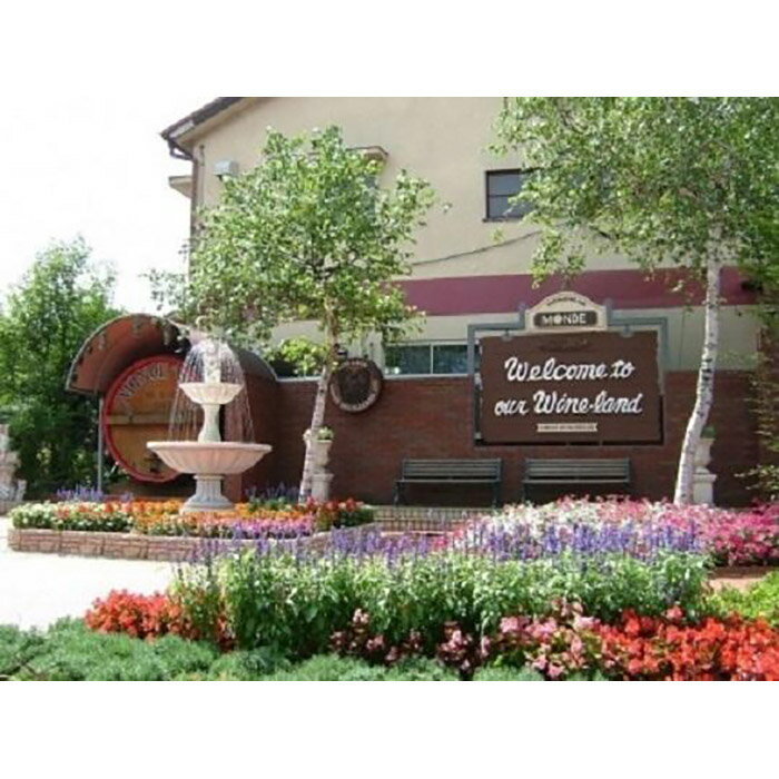 【ふるさと納税】 巨峰スパークリングワイン2本セット FAE010 サムネイル3