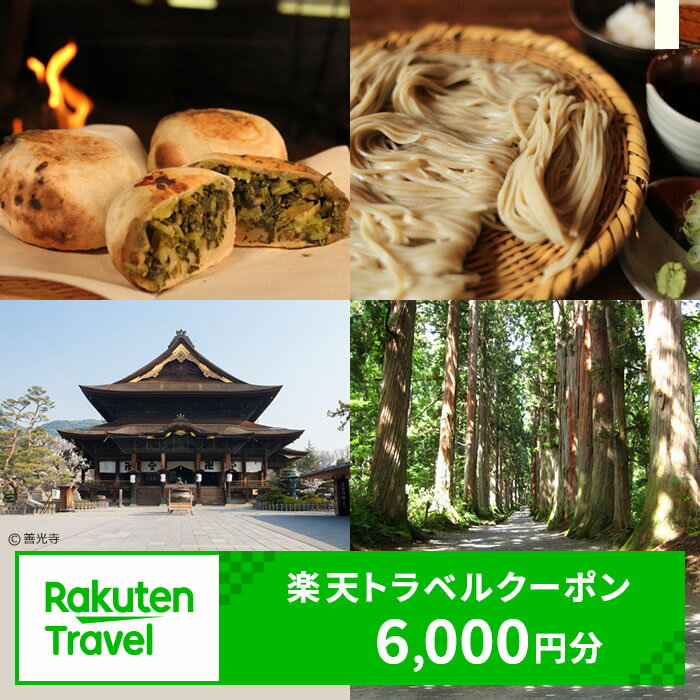 長野県長野市の対象施設で使える　楽天トラベルクーポン　寄付額20,000円(クーポン 6,000円)　 長野 宿泊 宿泊券 ホテル 旅館 旅行 旅行券 観光 トラベル チケット 旅 宿 券
