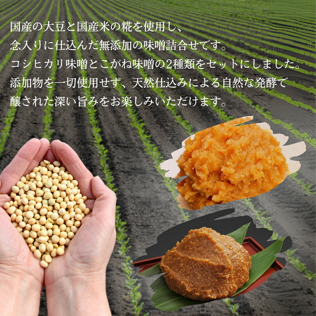 【ふるさと納税】無添加カップ味噌詰合せ2kg（コシヒカリ・こがね各2ヶ）みそ 味噌汁 みそ汁 長野 信州 国産 こだわり 食材 門前みそ 光善寺 お土産 調味料 油／味噌／米味噌 セット サムネイル3