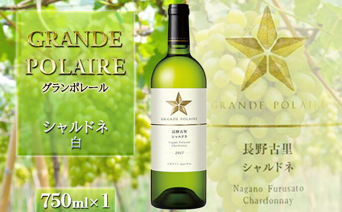 【ふるさと納税】グランポレール　長野古里ぶどう園　シャルドネ（白） 白ワイン お酒 アルコール ブドウ サムネイル2