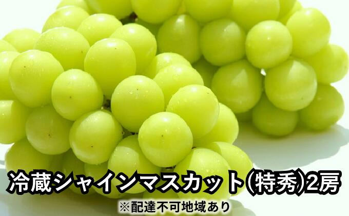 【ふるさと納税】長野市産冷蔵シャインマスカット（特秀）2房 ※オンライン決済限定 果物類 ぶどう フルーツ 果物 　お届け：2025年10月中旬～12月中旬 サムネイル2