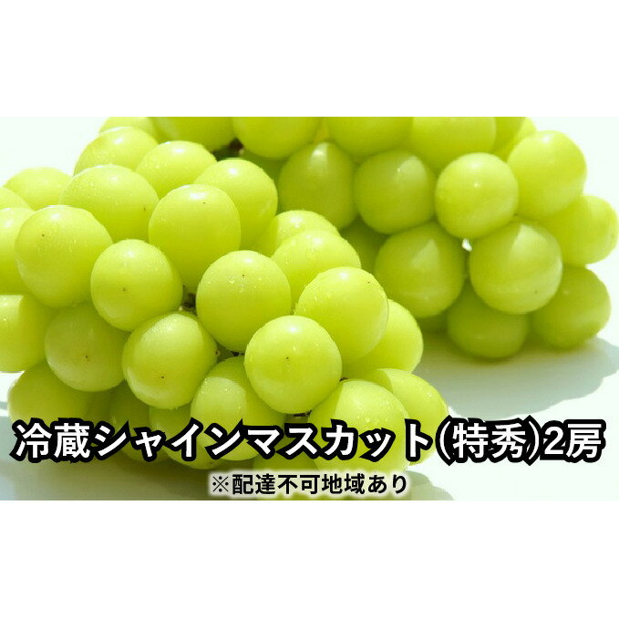 長野市産冷蔵シャインマスカット（特秀）2房 ※オンライン決済限定 果物類 ぶどう フルーツ 果物 　お届け：2025年10月中旬～12月中旬