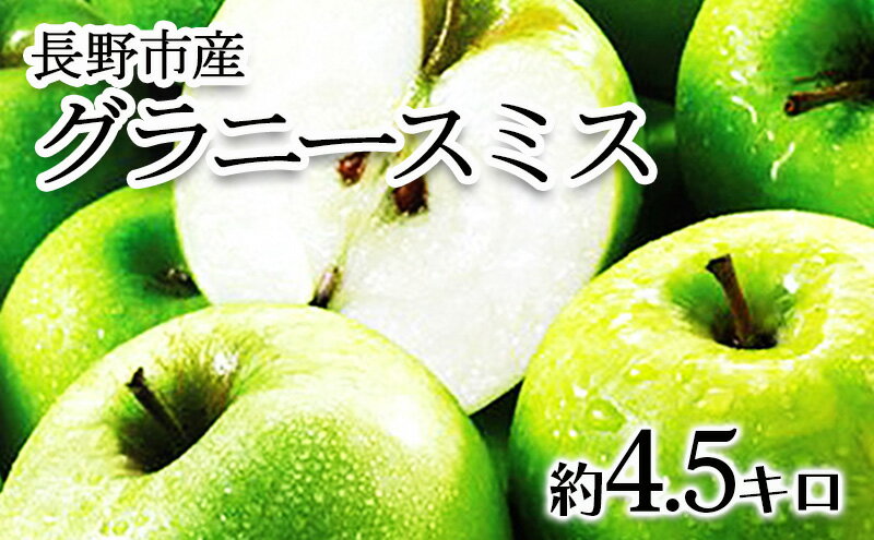 【ふるさと納税】【2025年10月順次発送 先行予約】長野市産　グラニースミス　約4.5キロ 果物類 林檎 りんご リンゴ 約4.5kg フルーツ 　お届け：2025年10月下旬より順次発送 サムネイル2