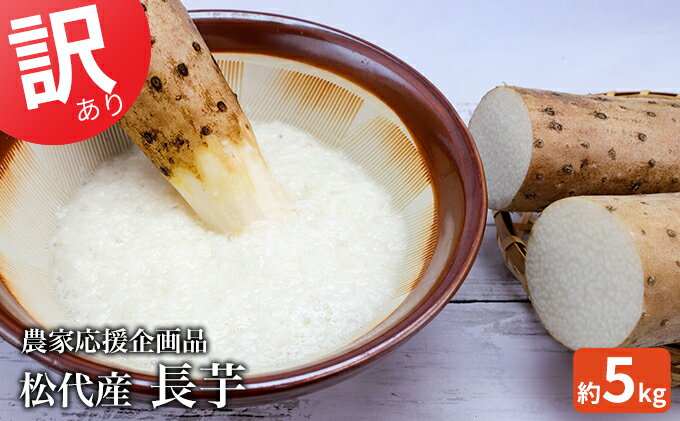 【ふるさと納税】2026年産先行予約　訳あり 松代産長芋 約5kg　応援企画品 野菜 根菜 傷 変形 こぶ 5キロ 　お届け：2026年9月下旬～11月下旬 - 画像2