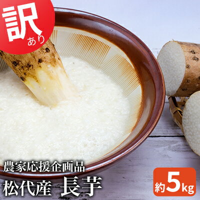 2026年産先行予約　訳あり 松代産長芋 約5kg　応援企画品 野菜 根菜 傷 変形 こぶ 5キロ 　お届け：2026年9月下旬～11月下旬