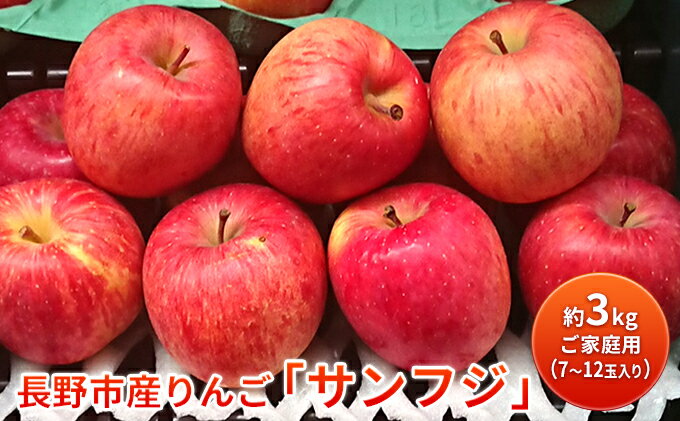 【ふるさと納税】長野市産りんご「サンフジ」約3kg　ご家庭用(7～12玉入り)※配送不可地域あり 果物類 林檎 リンゴ ギフト ふじ 　お届け：2025年11月下旬～2026年2月末日 サムネイル2