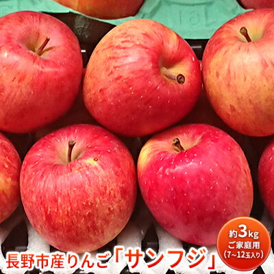 長野市産りんご「サンフジ」約3kg　ご家庭用(7～12玉入り)※配送不可地域あり 果物類 林檎 リンゴ ギフト ふじ 　お届け：2025年11月下旬～2026年2月末日