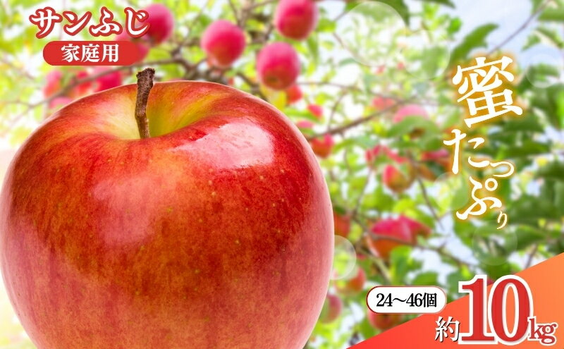 【ふるさと納税】先行予約 長野市産サンふじ家庭用 約10kg 2025年12月～2026年3月発送　※オンライン決済限定 果物 フルーツ デザート 食後 おやつ 長野県産 信州 りんご 代表品種 濃厚 　お届け：2025年12月上旬～2026年3月中旬 サムネイル2