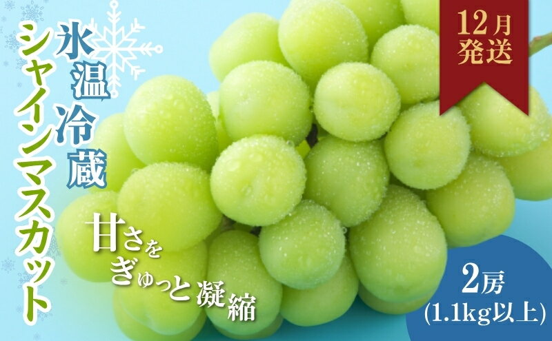 【ふるさと納税】【2025年12月中旬より順次発送】信州産冷蔵シャインマスカット 2房（合計1,1kg以上）大粒＆大房 果物 ぶどう フルーツ みずみずしい 長野県産 食後 デザート 　お届け：2025年12月中旬より順次発送 サムネイル2