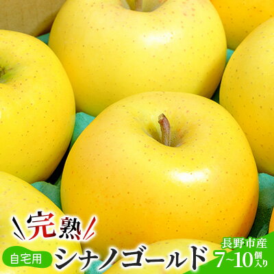 ご自宅用　完熟シナノゴールド 7-10個入り 果物 りんご フルーツ デザート 食後 長野りんご 信州りんご ジューシー 生産者直送 　お届け：2025年11月上旬～11月末