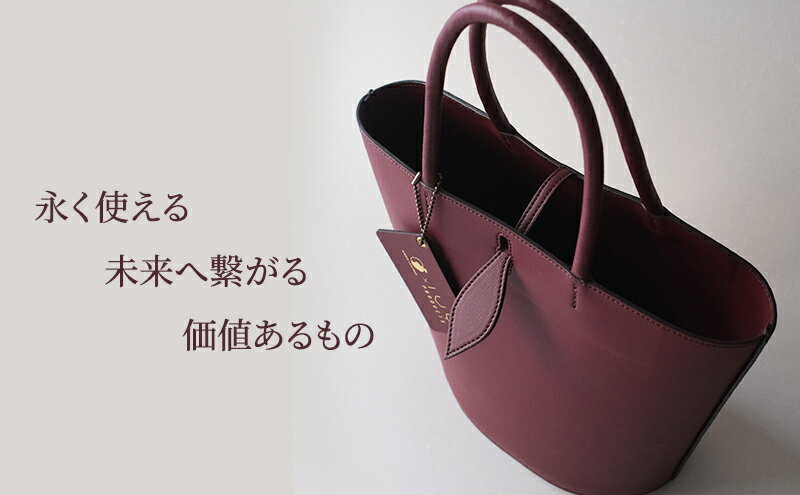 【ふるさと納税】りんごレザー(R) RingoLeather(R) IVY PRODUCTS コラボ TOTE 【 赤 】 サムネイル3