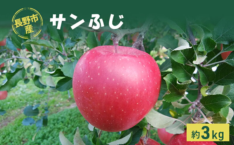 【ふるさと納税】長野市産「サンふじ」約3kg 　お届け：2025年11月下旬～2026年1月末 サムネイル2
