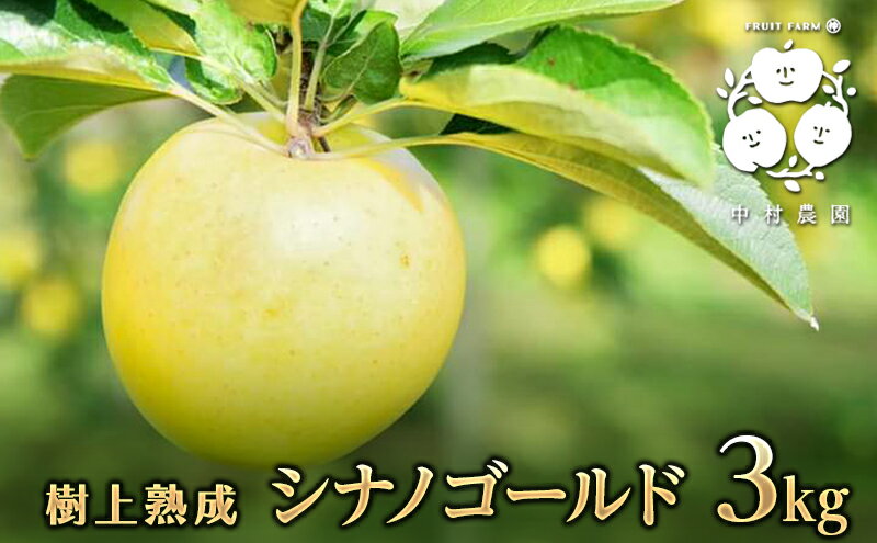 【ふるさと納税】【2025年産】樹上熟成　シナノゴールド 3kg 　お届け：2025年10月15日～12月31日 サムネイル2