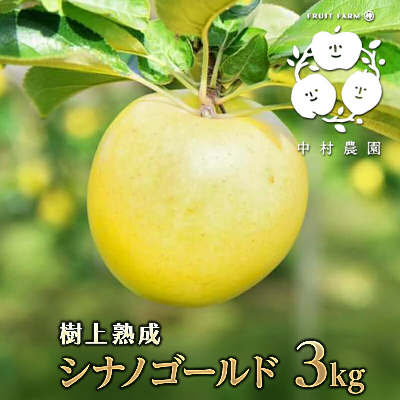 【2025年産】樹上熟成　シナノゴールド 3kg 　お届け：2025年10月15日～12月31日