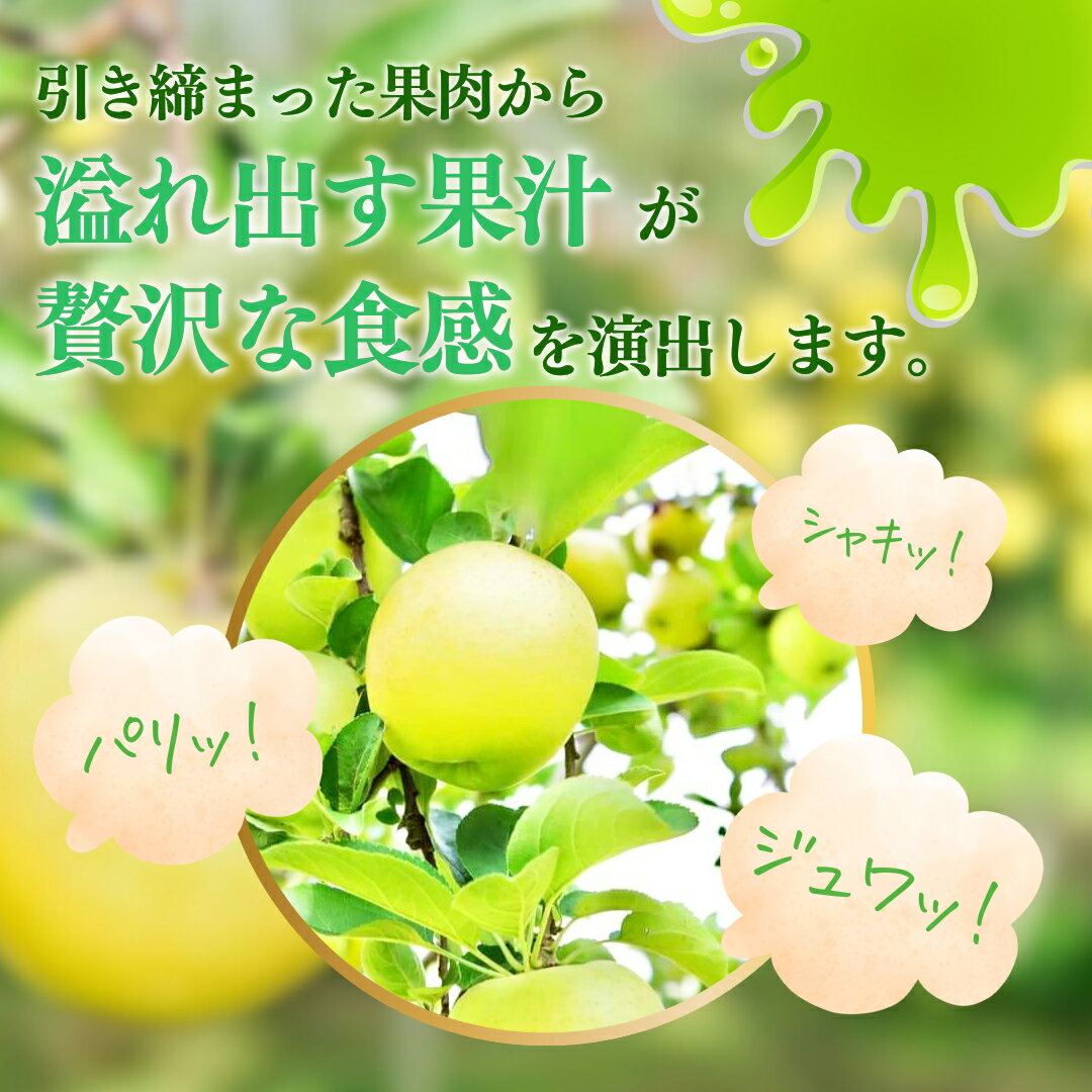 【ふるさと納税】【2025年産】樹上熟成　シナノゴールド 3kg 　お届け：2025年10月15日～12月31日 サムネイル3