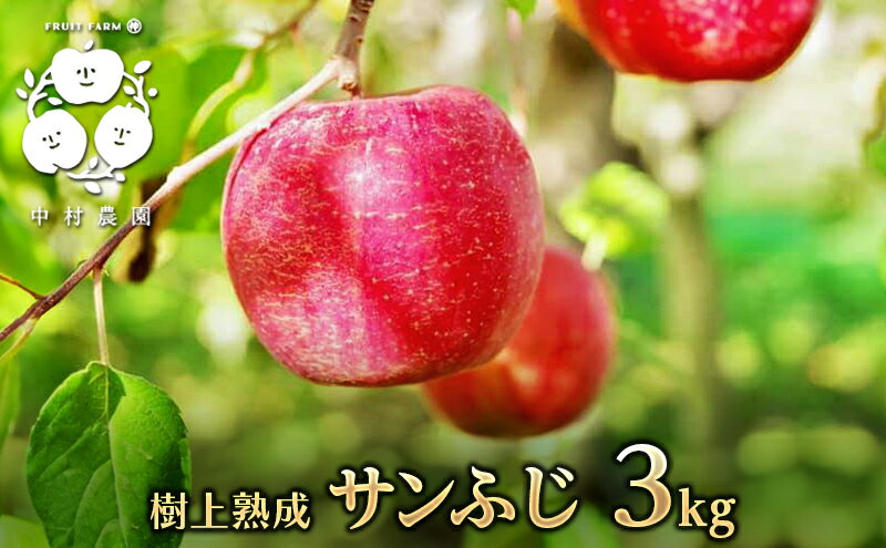 【ふるさと納税】【2025年産】樹上熟成　サンふじ 3kg 　お届け：2025年11月20日～2026年1月31日 サムネイル2