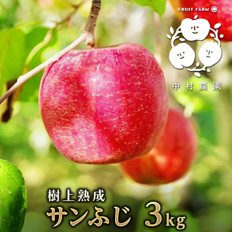 【2025年産】樹上熟成　サンふじ 3kg 　お届け：2025年11月20日～2026年1月31日