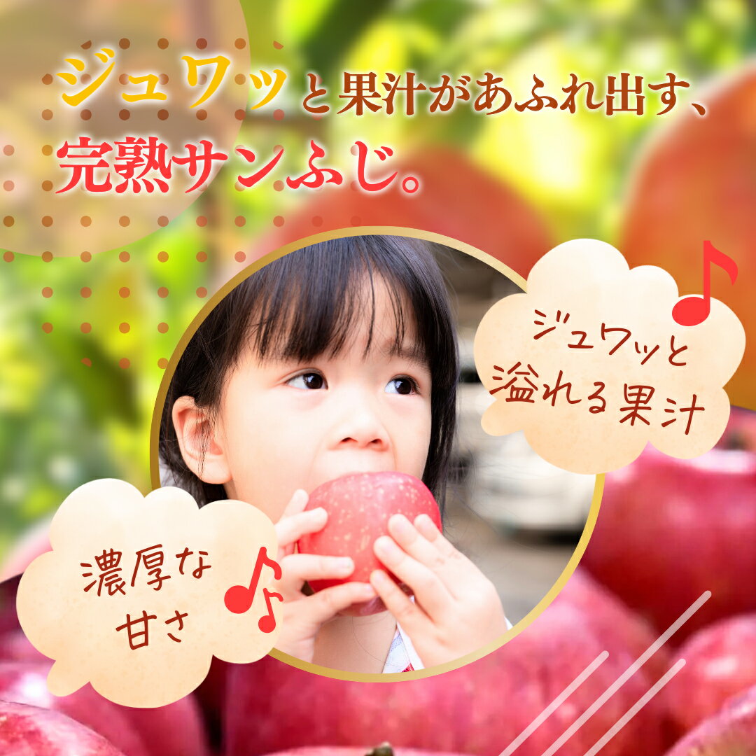 【ふるさと納税】【2025年産】樹上熟成　サンふじ 3kg 　お届け：2025年11月20日～2026年1月31日 サムネイル3