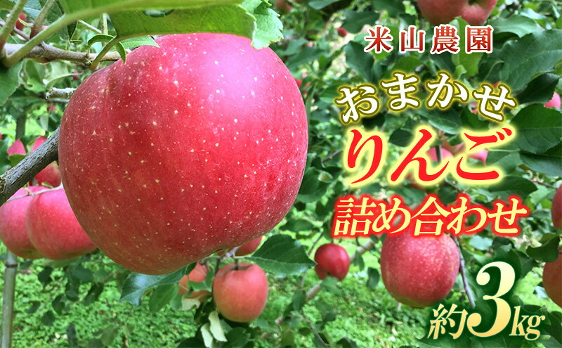 【ふるさと納税】りんご 米山農園のおまかせりんご約3kg 秋映え シナノスイート シナノゴールド 王林 さんふじ セット 長野県 長野市　お届け：2025年10月上旬～2026年1月中旬 サムネイル2