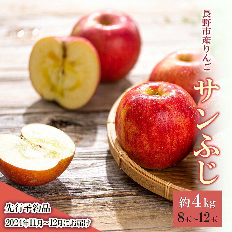 長野市産りんご　サンふじ4kg（ご家庭用）長野市 お取り寄せ　お届け：2025年11月下旬～2025年12月下旬まで