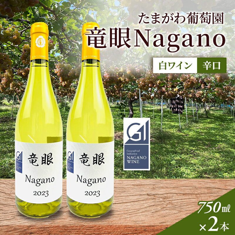 ワイン　竜眼Nagano　【GI長野】認定　2本セット 長野市 白ワイン