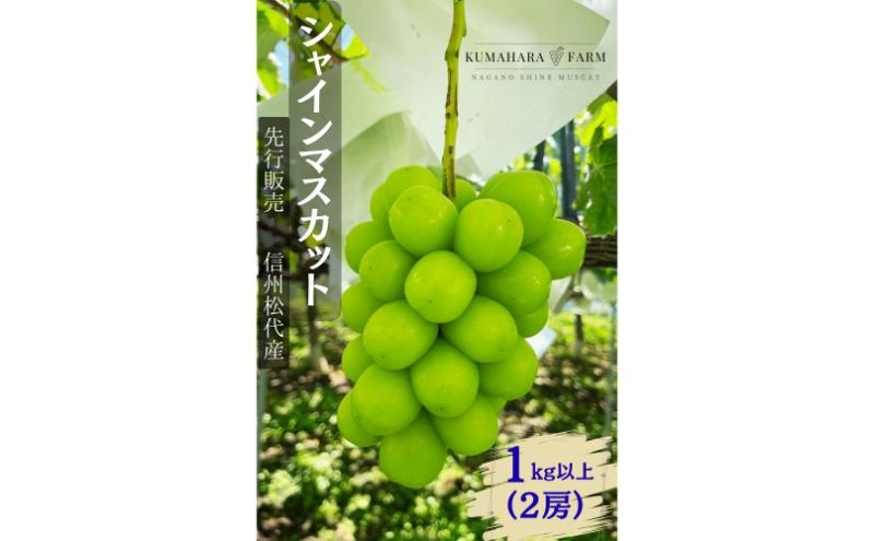 【ふるさと納税】ぶどう シャインマスカット1kg以上 果物 信州 長野県 長野市 　お届け：2026年9月下旬～10月下旬 サムネイル2
