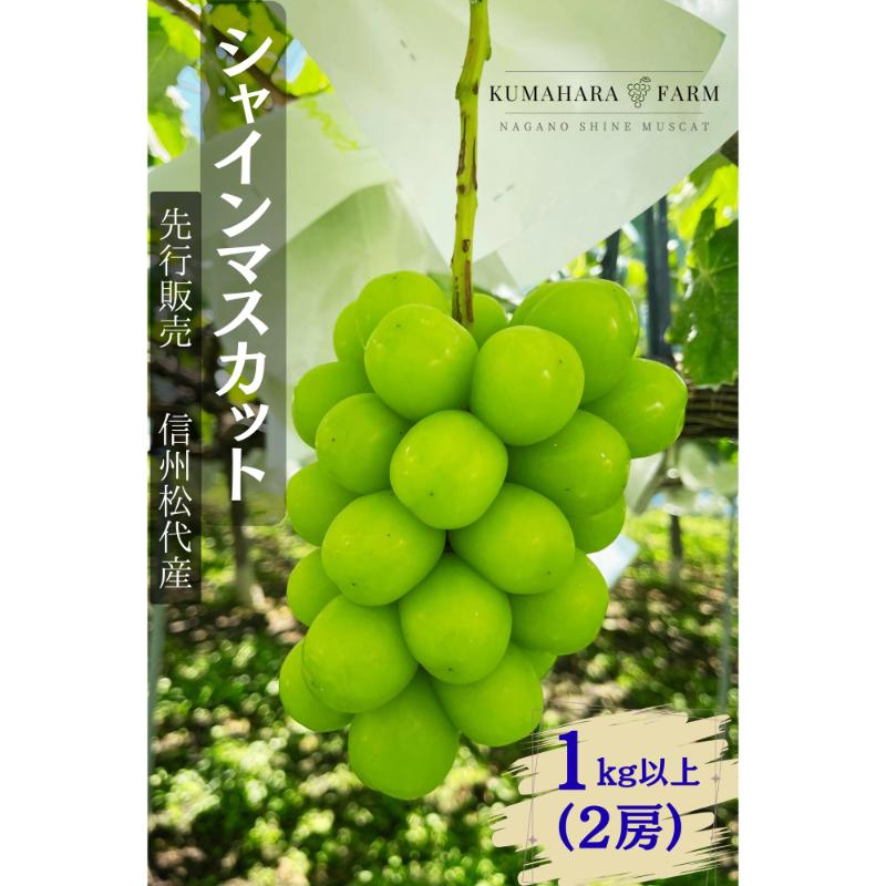 ぶどう シャインマスカット1kg以上 果物 信州 長野県 長野市 　お届け：2026年9月下旬～10月下旬