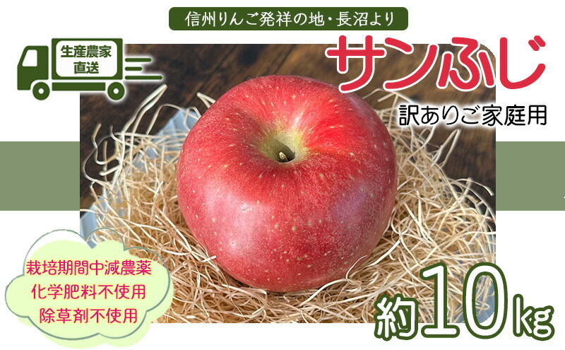 【ふるさと納税】生産農家直送 信州りんご発祥の地・長沼産 長沼りんご サンふじ(ご家庭用) 約10kg サイズミックス 長野県産 栽培期間中化学肥料不使用 除草剤不使用 人にやさしく環境にもやさしい　お届け：2025年11月中旬～12月下旬 サムネイル2