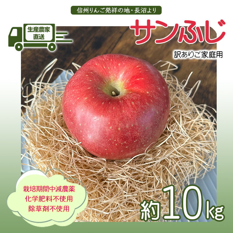 生産農家直送 信州りんご発祥の地・長沼産 長沼りんご サンふじ(ご家庭用) 約10kg サイズミックス 長野県産 栽培期間中化学肥料不使用 除草剤不使用 人にやさしく環境にもやさしい　お届け：2025年11月中旬～12月下旬