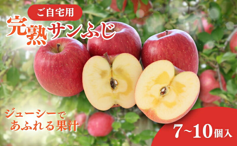 【ふるさと納税】りんご ご自宅用 完熟サンふじ 7-10個入り リンゴ フルーツ 果物 デザート 信州 長野市　お届け：2025年11月下旬～12月下旬 サムネイル2