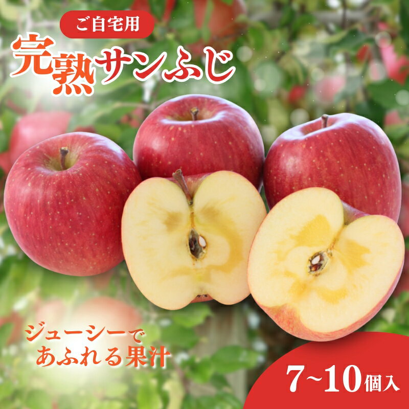 りんご ご自宅用 完熟サンふじ 7-10個入り リンゴ フルーツ 果物 デザート 信州 長野市　お届け：2025年11月下旬～12月下旬