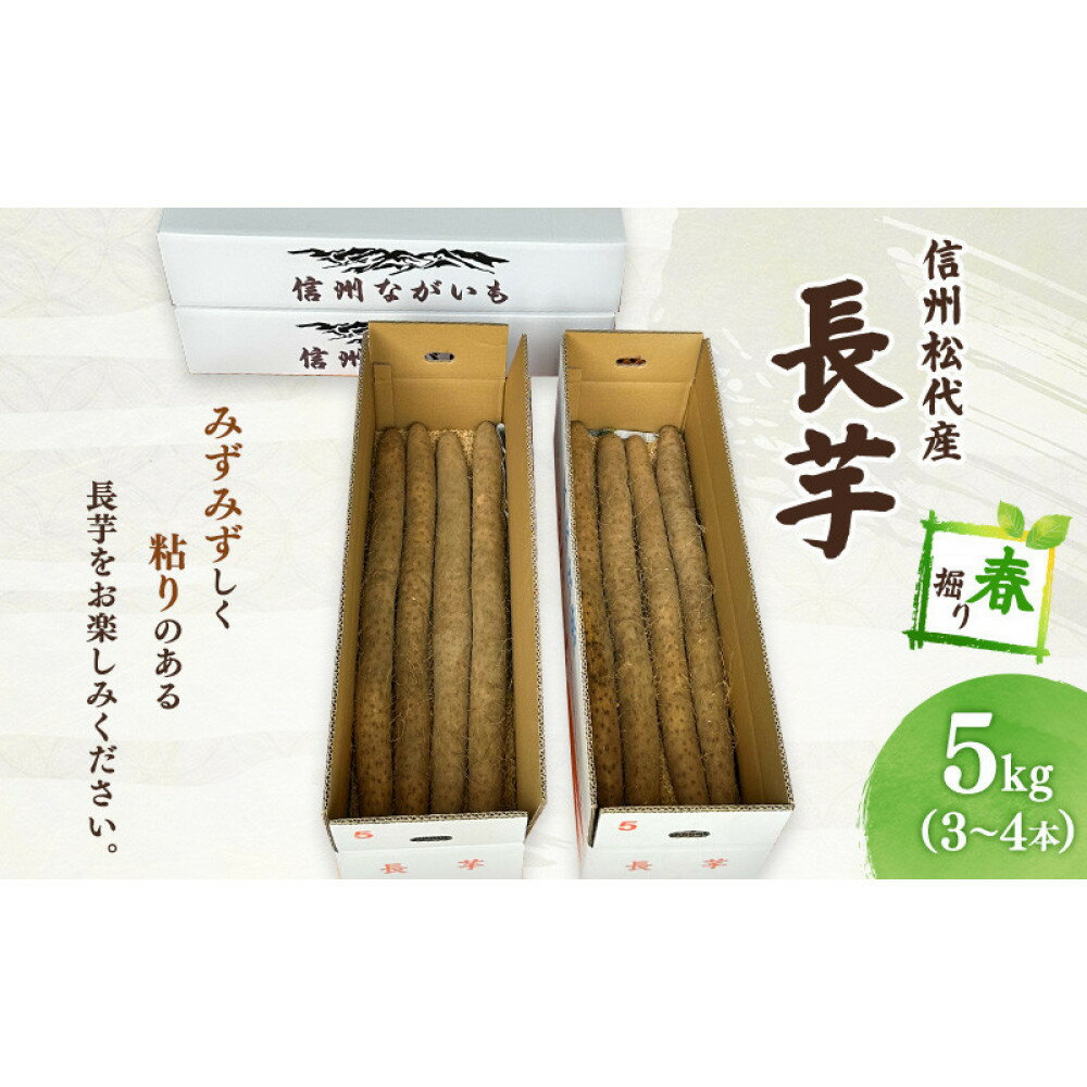 長芋（春堀り）5kg | 信州 長野市 お取り寄せ とろろ 長いも ながいも 山芋 芋 いも 野菜 根菜