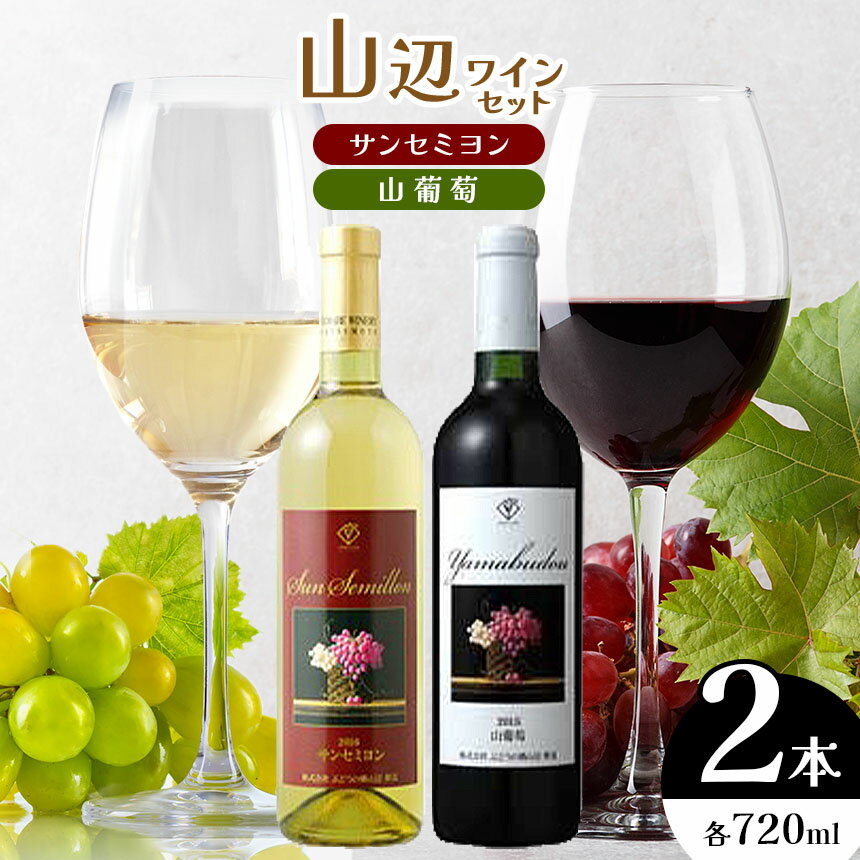 山辺ワインセット720ml×2本（サンセミヨン、山葡萄）｜ワイン 飲み比べ お酒 辛口 セット 信州 赤ワイン 白ワイン ぶどう 長野県 松本市 希少価値 わいん 酒 おさけ さけ サンセミヨン 山葡萄 やまぶどう