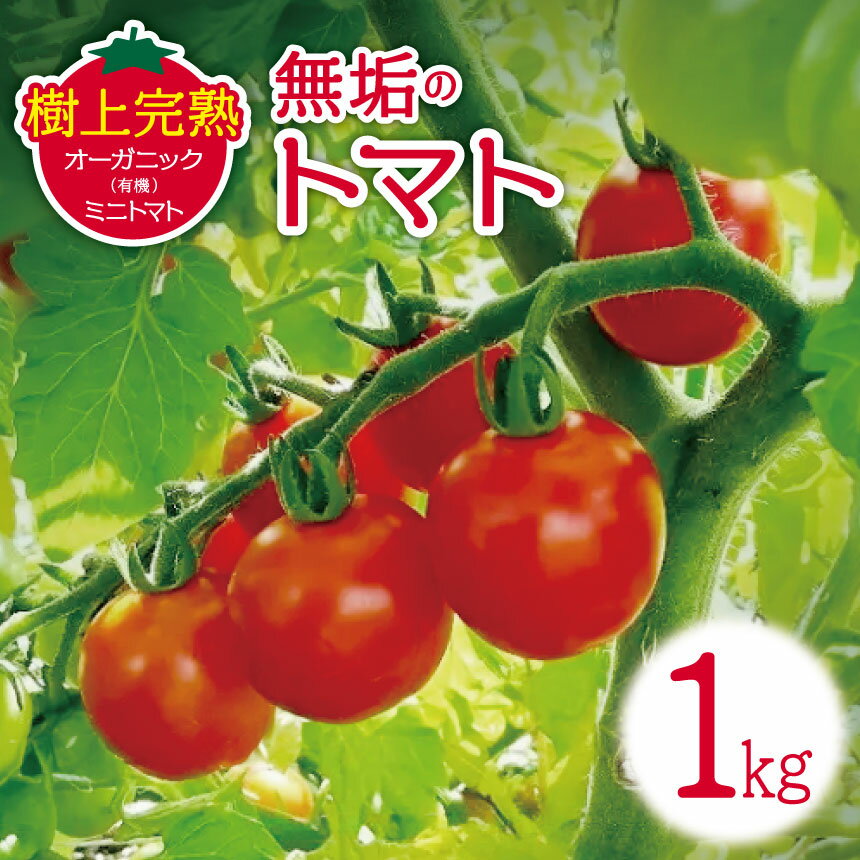 【先行受付】無垢のトマト（樹上完熟オーガニック(有機)ミニトマト）1kg | トマト ミニトマト とまと みにとまと オーガニック 野菜 先行受付 完熟 フレッシュ ヘルシー ふるさと納税 信州 長野県 松本市