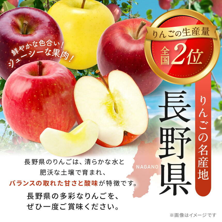 【ふるさと納税】【贈答用】シナノ三兄弟　詰め合わせ　3kg | ふるさと納税 長野県 松本市 林檎 りんご リンゴ 信州産 シナノスイート シナノゴールド 贈答用 甘い 贈り物 季節限定 詰め合わせ サムネイル3