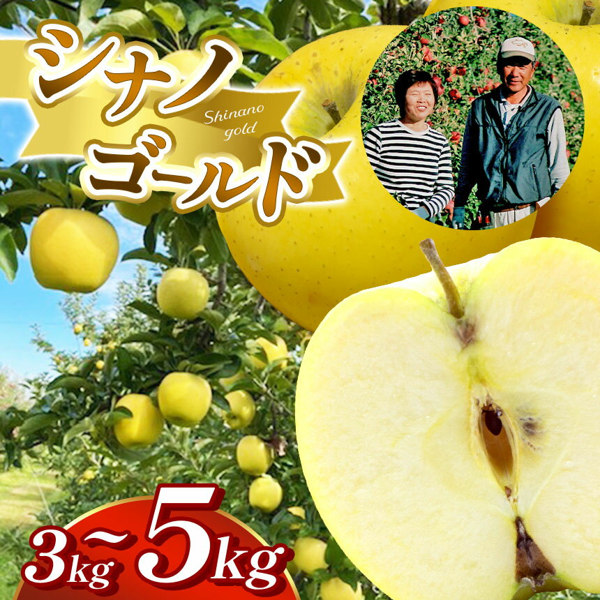 贈答用 【選べる】 シナノゴールド 約3kg 約5kg｜ シナノゴールド りんご リンゴ 林檎 果物 フルーツ くだもの 長野県 松本市 信州 信州りんご 長野県産りんご