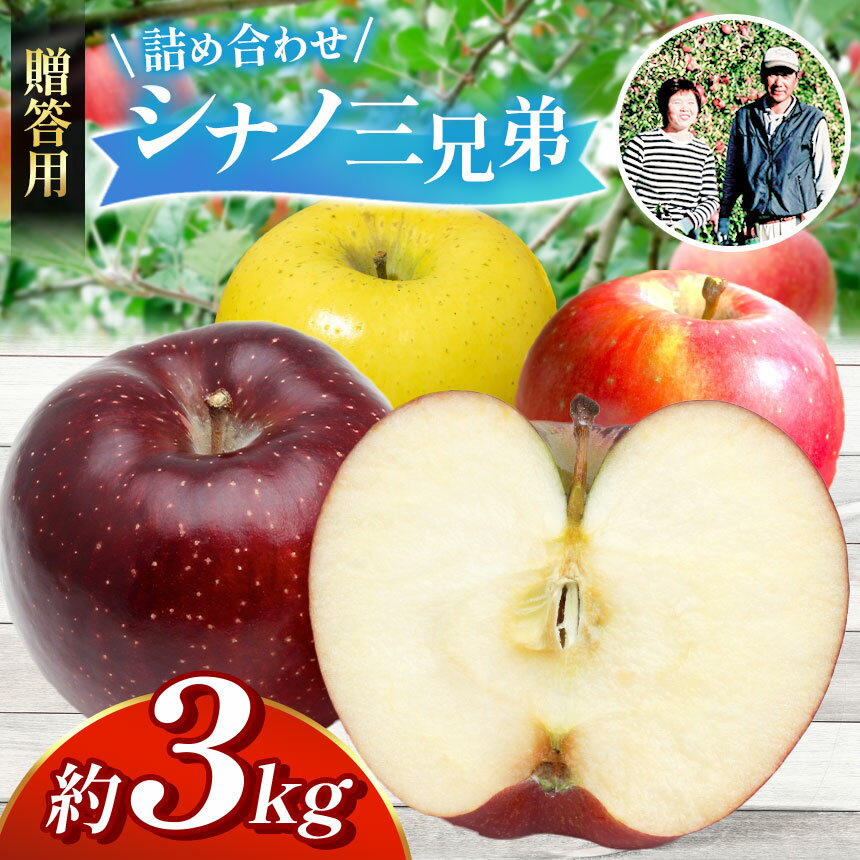 【贈答用】シナノ三兄弟　詰め合わせ　3kg | ふるさと納税 長野県 松本市 林檎 りんご リンゴ 信州産 シナノスイート シナノゴールド 贈答用 甘い 贈り物 季節限定 詰め合わせ