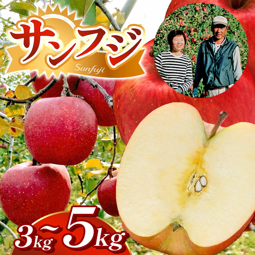 【選べる】【贈答用】サンふじ 約3kg 約5kg｜ サンふじ さんふじ りんご リンゴ 林檎 果物 フルーツ くだもの 信州産 長野県 松本市 ふるさと納税