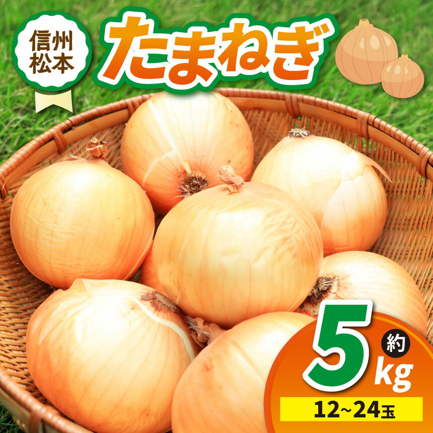 【先行受付】たまねぎ 2L～M 12～24玉 約5kg｜ふるさと納税 松本市 たまねぎ 玉葱 サラダ 農家 料理 自然 ビタミン 豊富 地元 新鮮