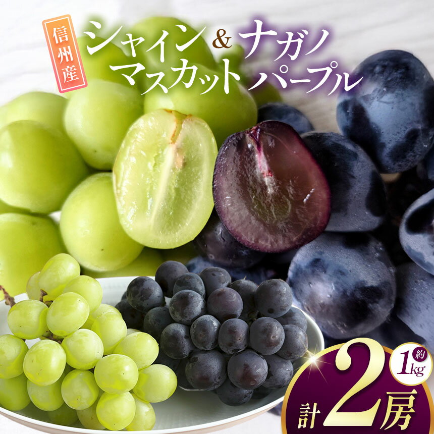 【ふるさと納税】【先行受付】 長野県産ぶどうセット 選べる組合せ ｜ふるさと納税 ぶどう 葡萄 シャインマスカット ナガノパープル クイーンルージュ 果物 フルーツ 種無し 新鮮 セット 食べ比べ 信州産 先行予約 長野県 松本市 - 画像3