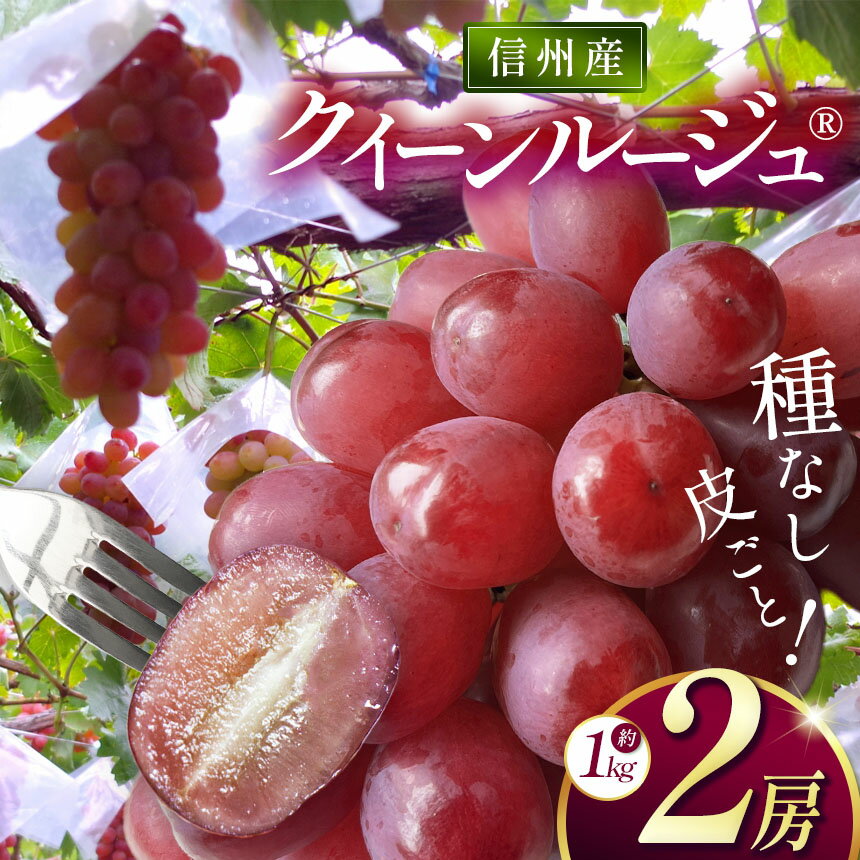 【先行受付：9月発送】信州産 クイーンルージュ® 2房 約1kg｜ふるさと納税 松本市 ぶどう 葡萄 クイーンルージュ 果物 フルーツ 新鮮 信州産