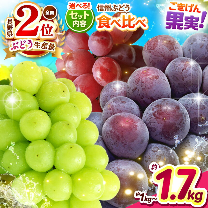 【先行受付】 長野県産ぶどうセット 選べる組合せ ｜ふるさと納税 ぶどう 葡萄 シャインマスカット ナガノパープル クイーンルージュ 果物 フルーツ 種無し 新鮮 セット 食べ比べ 信州産 先行予約 長野県 松本市
